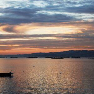 Crucero en Velero por la Ría de Arousa (2h)