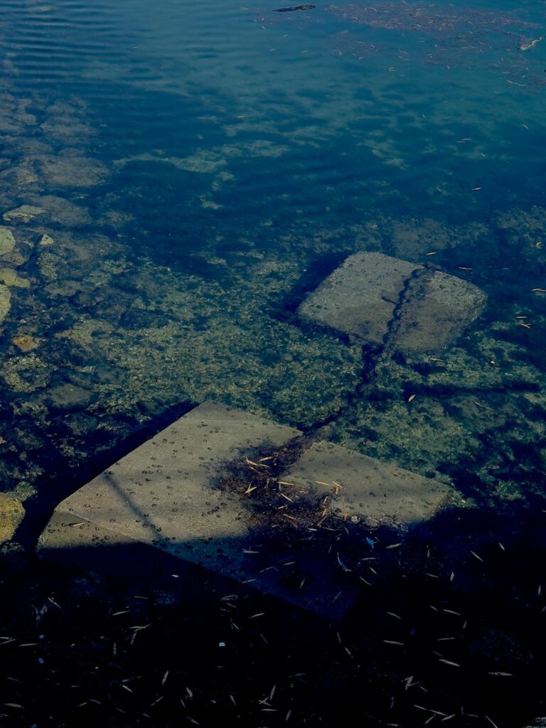 088ba2b5-8d7e-4321-8f64-c8bce7ccede6