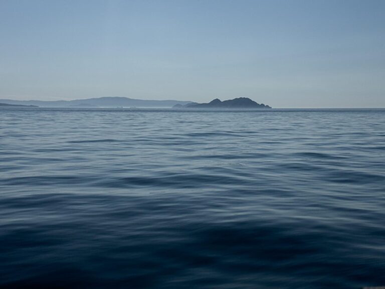 2b3d466e-a4e8-46a3-ae07-69244e45dda8