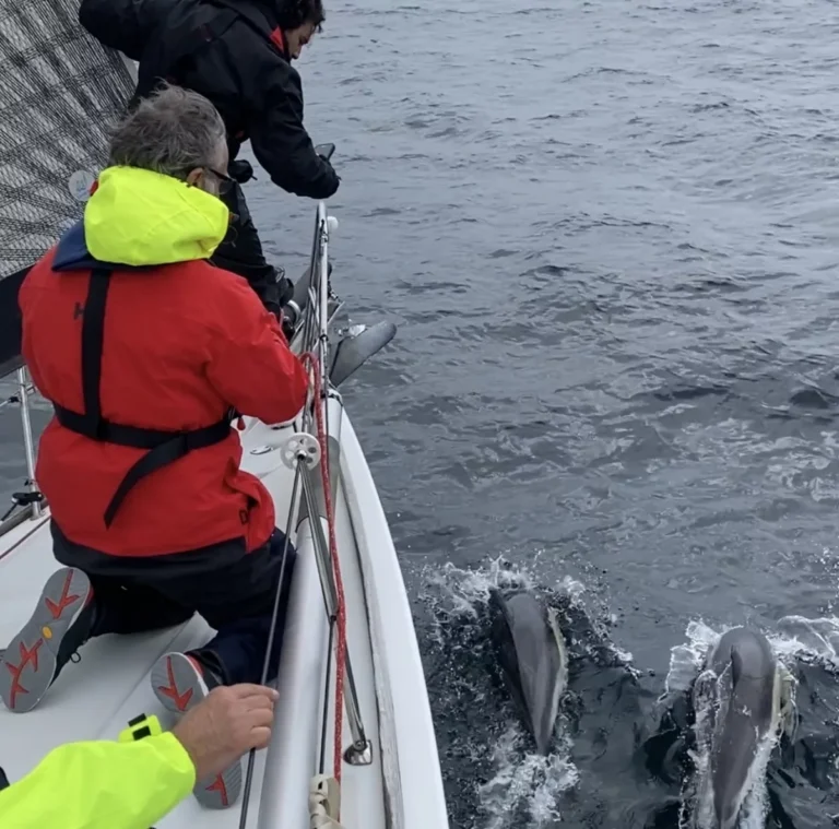 Perfecciona-tus-habilidades-de-navegación-con-nuestro-curso-de-maniobras-y-trimado