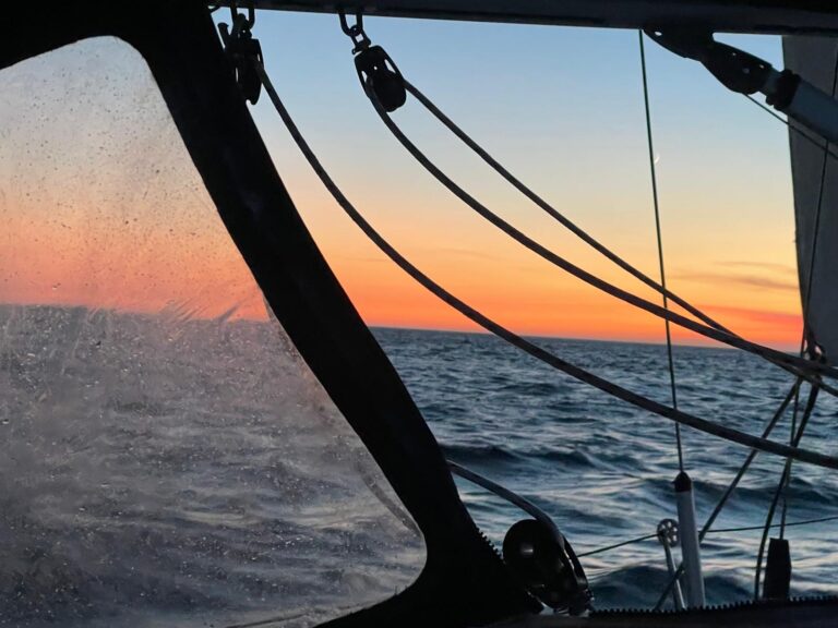 a44df207-731c-488a-8dac-e69ffedf8e46