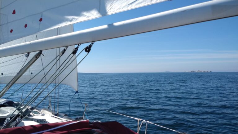 afe8f9e6-01e6-4a43-8271-1e5393039ddc